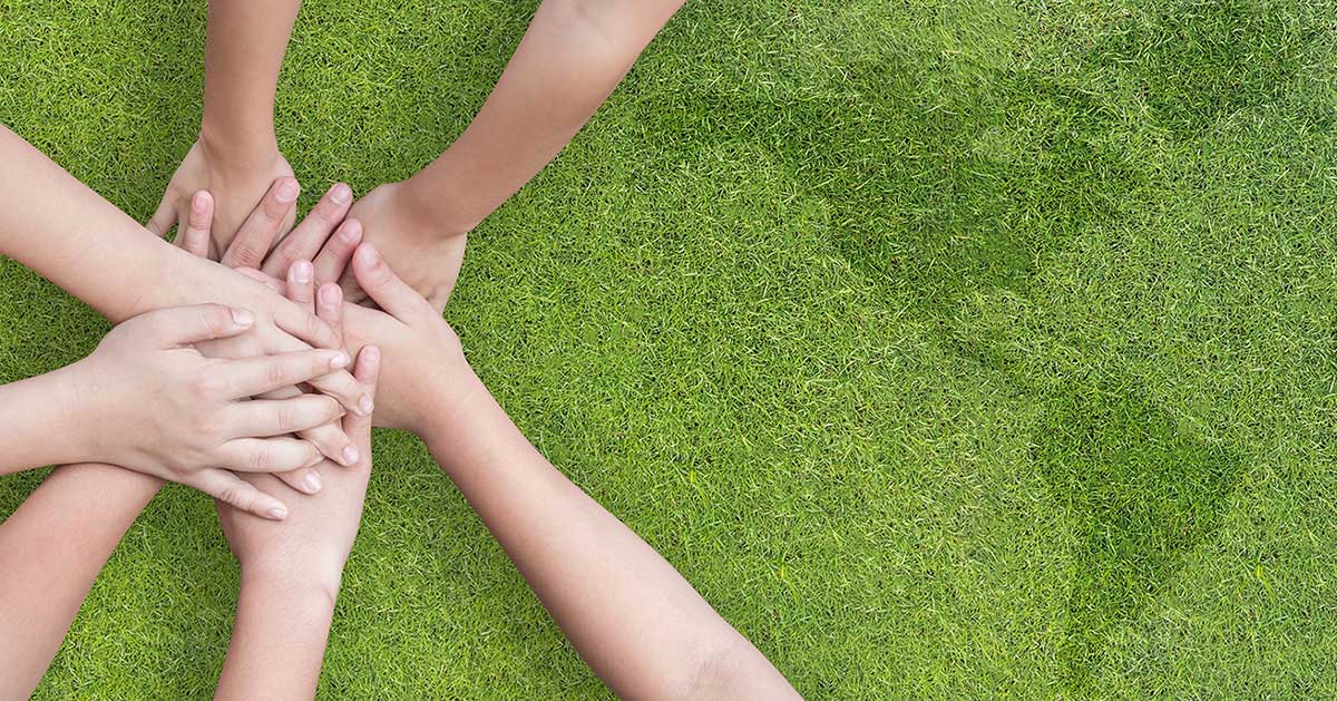 绿色博彩：公益项目捐赠行动