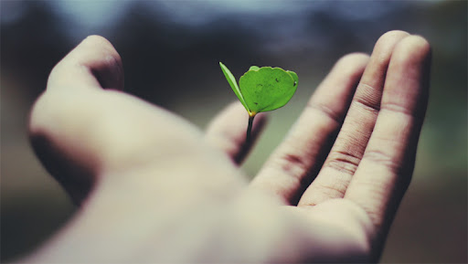 体育博彩公益日活动