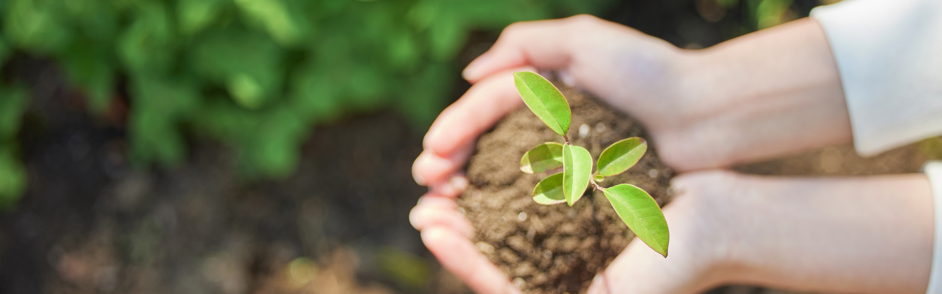 体育博彩公益奖助学金