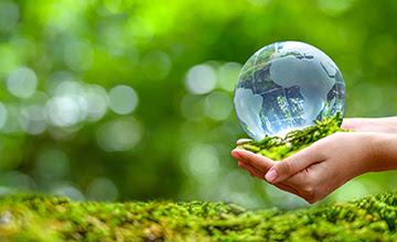 绿色博彩：公益项目捐赠行动